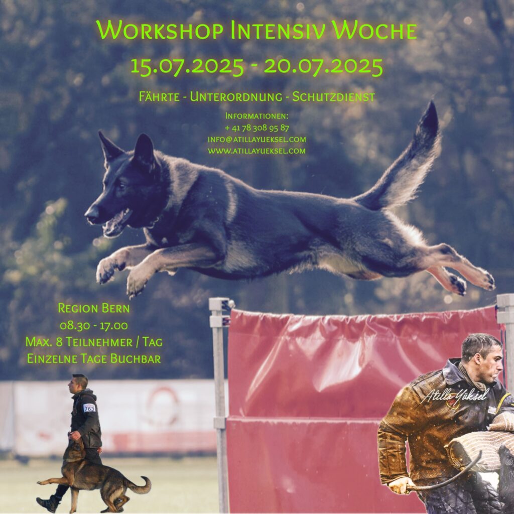 Workshop Intensiv Woche (BE)
